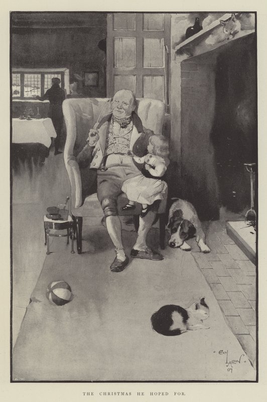Den jul, han håbede på af Cecil Charles Windsor Aldin