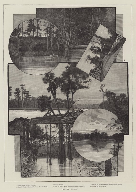 Udsigt i Florida af Charles Auguste Loye
