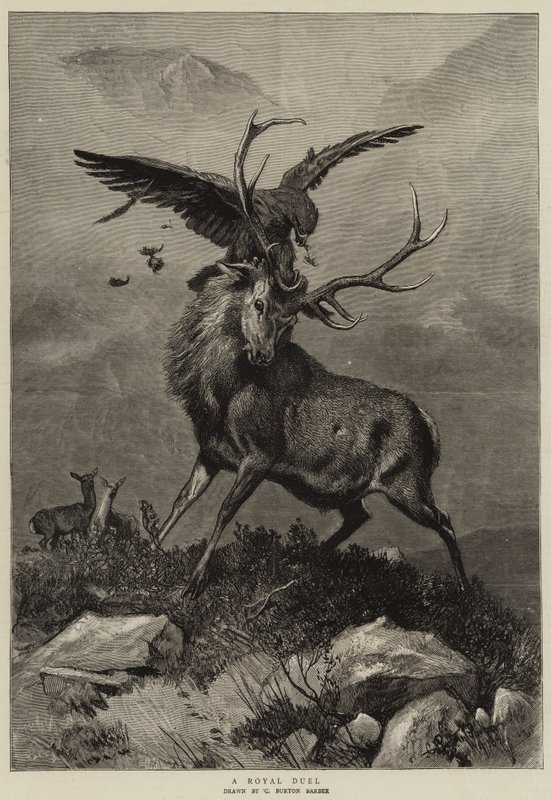 En kongelig duel af Charles Burton