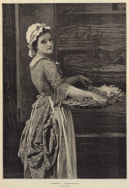 Frisk lavendel af Charles Edward Perugini