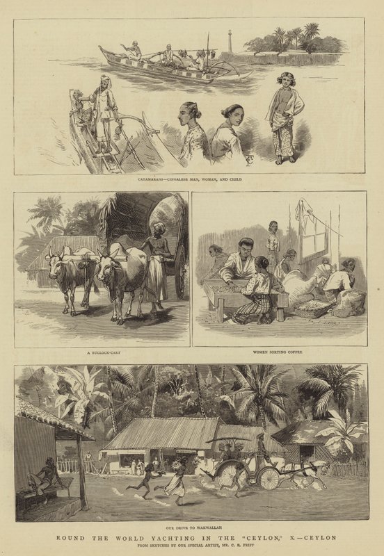 Jorden rundt Yachting i Ceylon, X, Ceylon af Charles Edwin Fripp