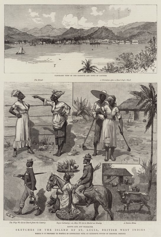 Skitser fra øen St Lucia, Britisk Vestindien af Charles Edwin Fripp