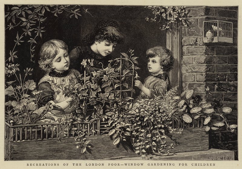 Recreations of the London Poor, Window Gardening for Children af Charles J. Staniland