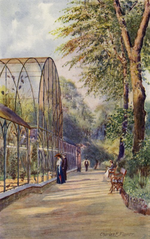 London Zoo: Western Aviary (farve litho) af Charles Edwin Flower
