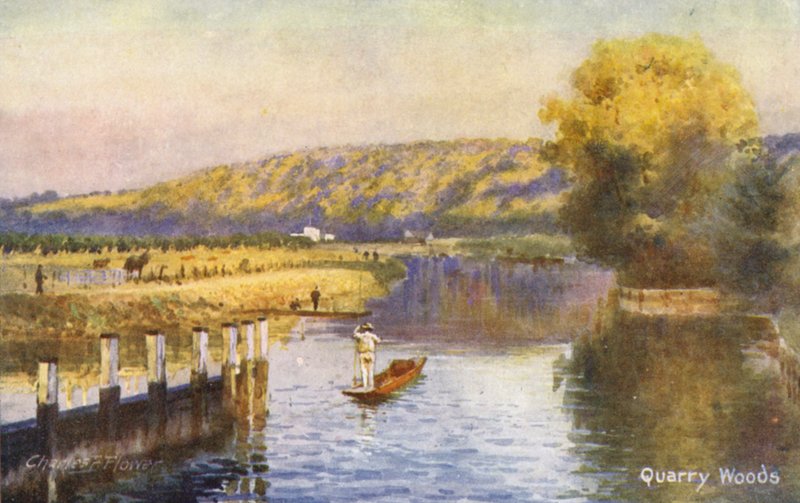 Themsen: Quarry Woods (farvelitografi) af Charles Edwin Flower