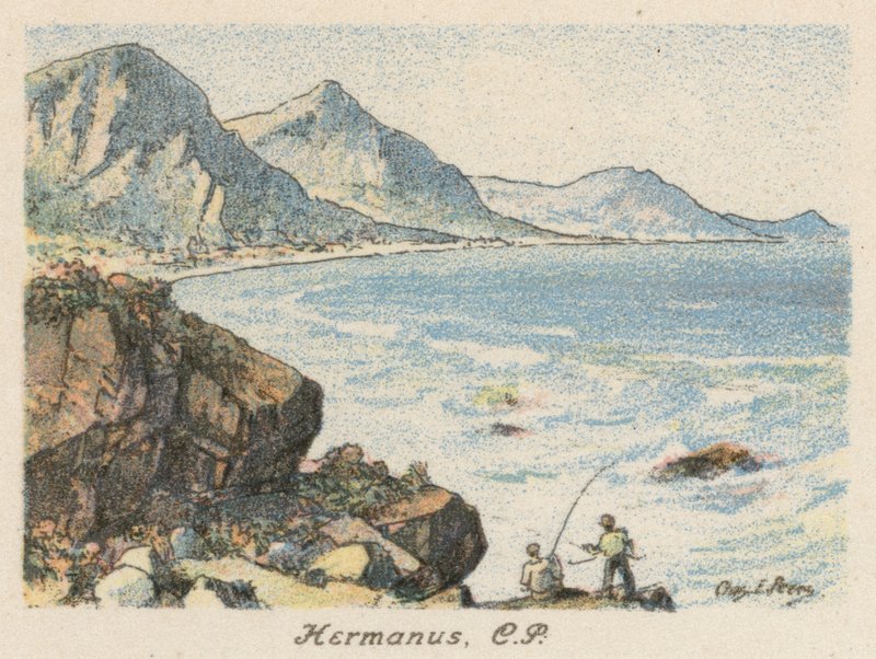 Sydafrika: Hermanus, CP (farvelitografi) af Charles Ernest Peers
