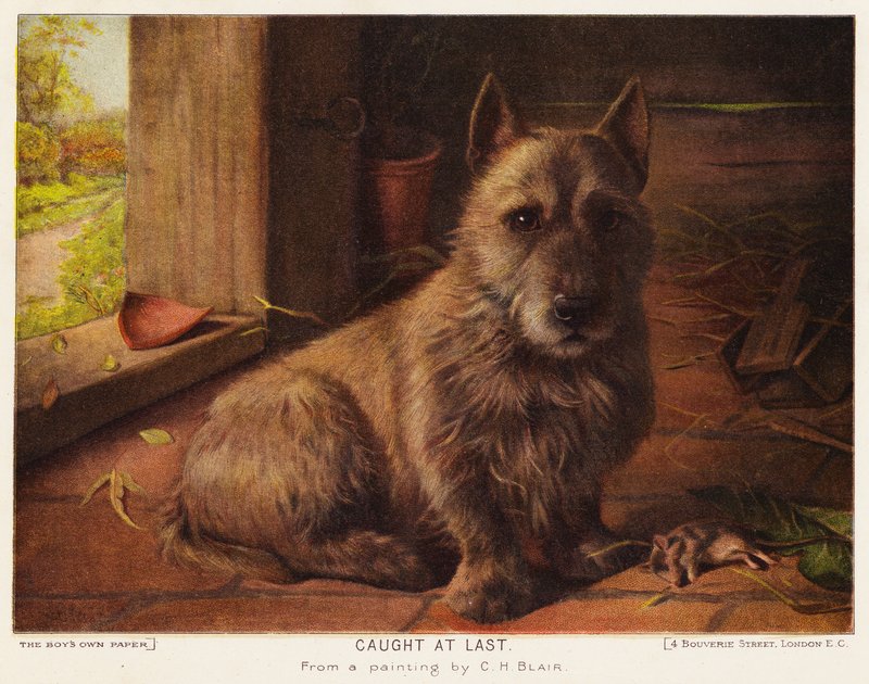 Fanget til sidst (farve litho) af Charles Henry Blair