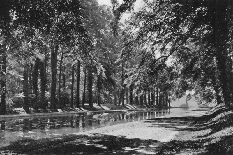 The T Pond (s/h foto) af Charles Latham