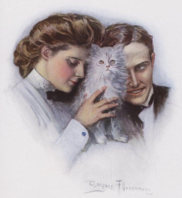 Par med en kat af Clarence F. Underwood
