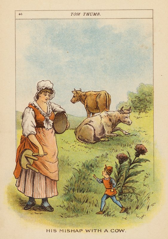 Tom Thumb (farvelitografi) af Constance Haslewood