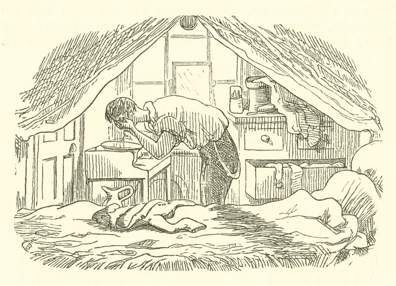 Vask af Cuthbert Bede