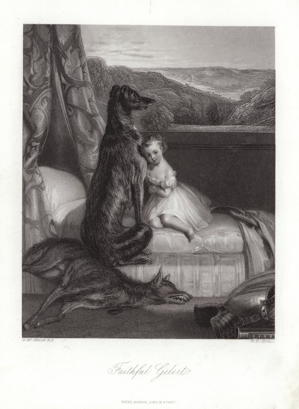 Trofaste Gelert af Daniel Maclise