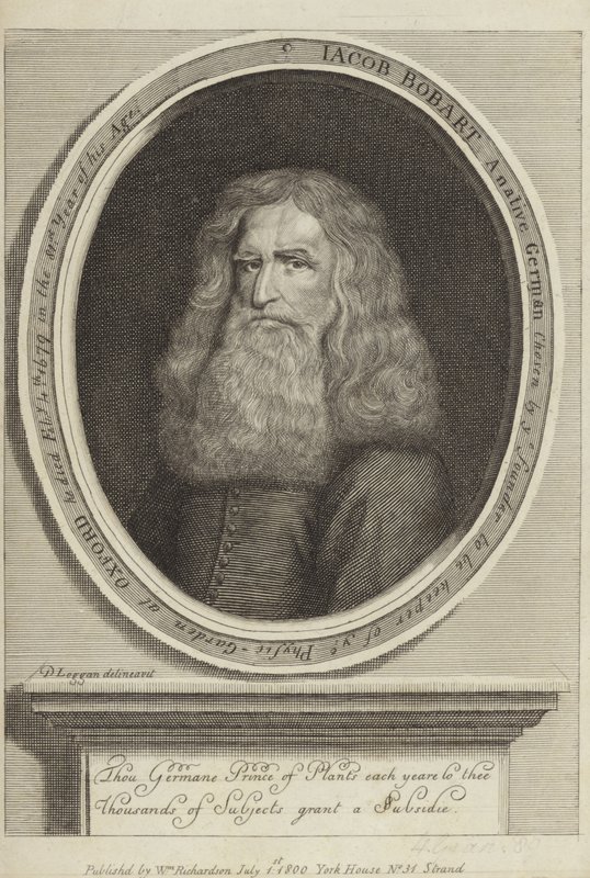 Jacob Bobart af David Loggan