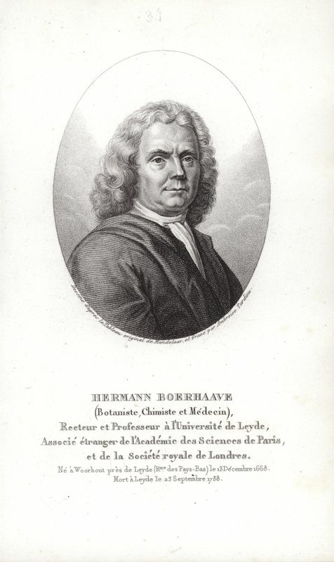 Herman Boerhaave af Dutch School