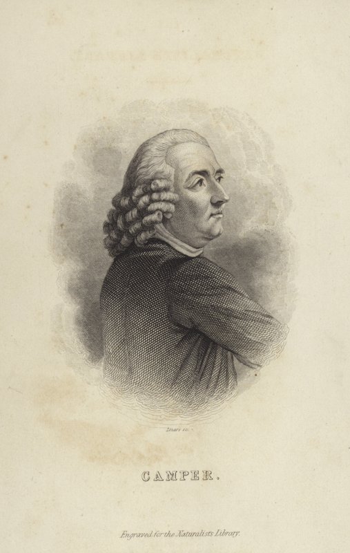 Peter Camper af Dutch School