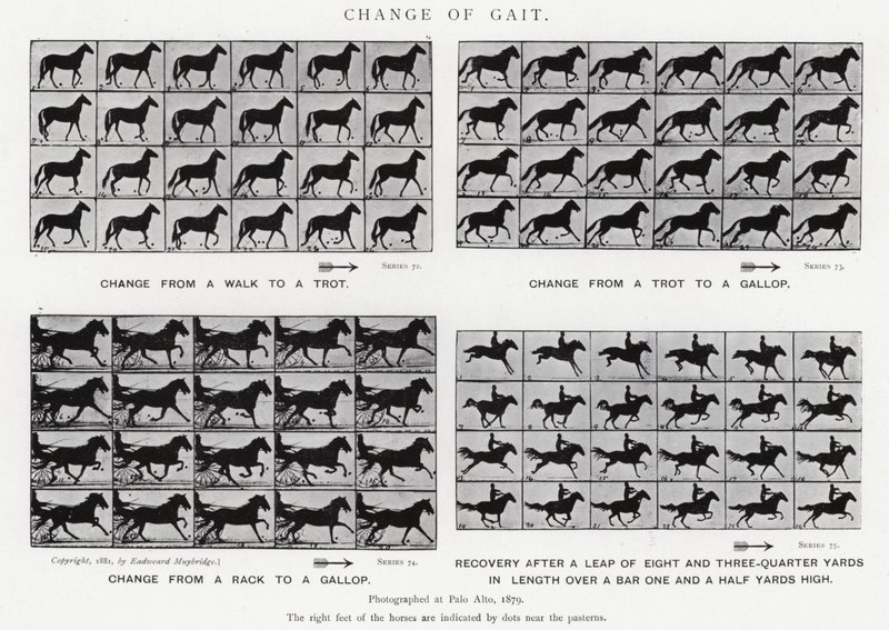 Eadweard Muybridge: Change of Gait (s/h-billede) af Eadweard Muybridge