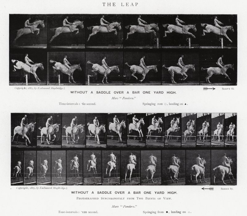 Eadweard Muybridge: The Leap (s/h foto) af Eadweard Muybridge