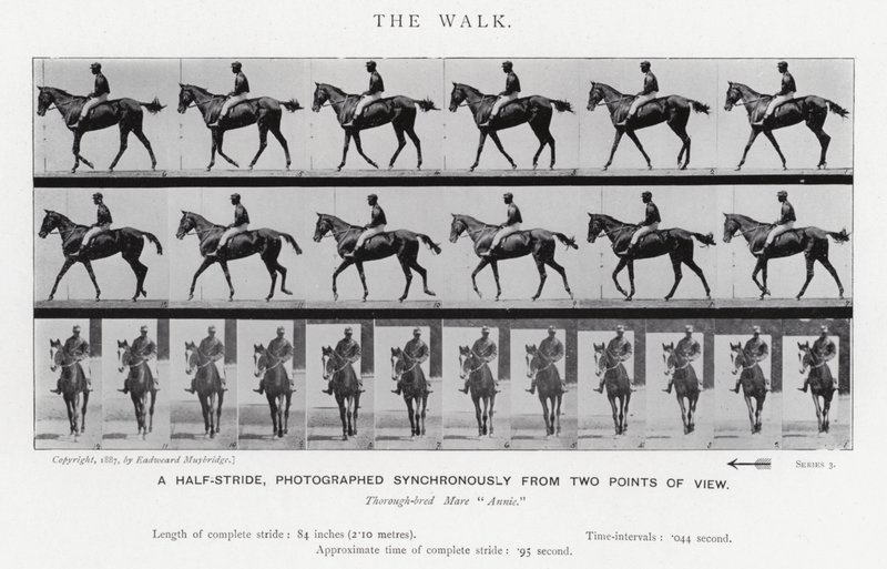 Eadweard Muybridge: The Walk (s/h foto) af Eadweard Muybridge