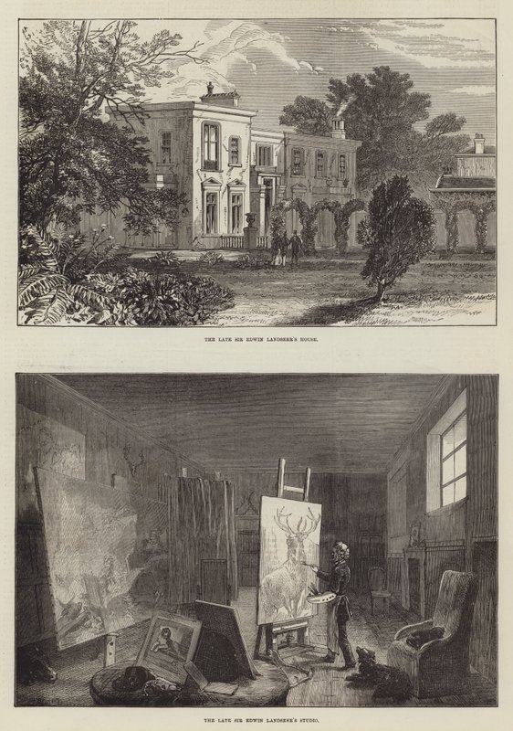 Landseer