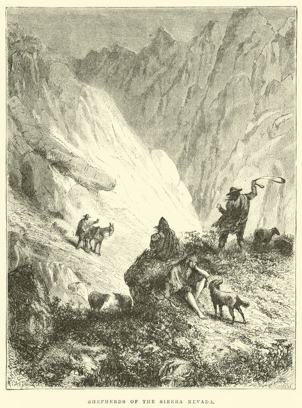 Hyrder i Sierra Nevada af Edouard Riou
