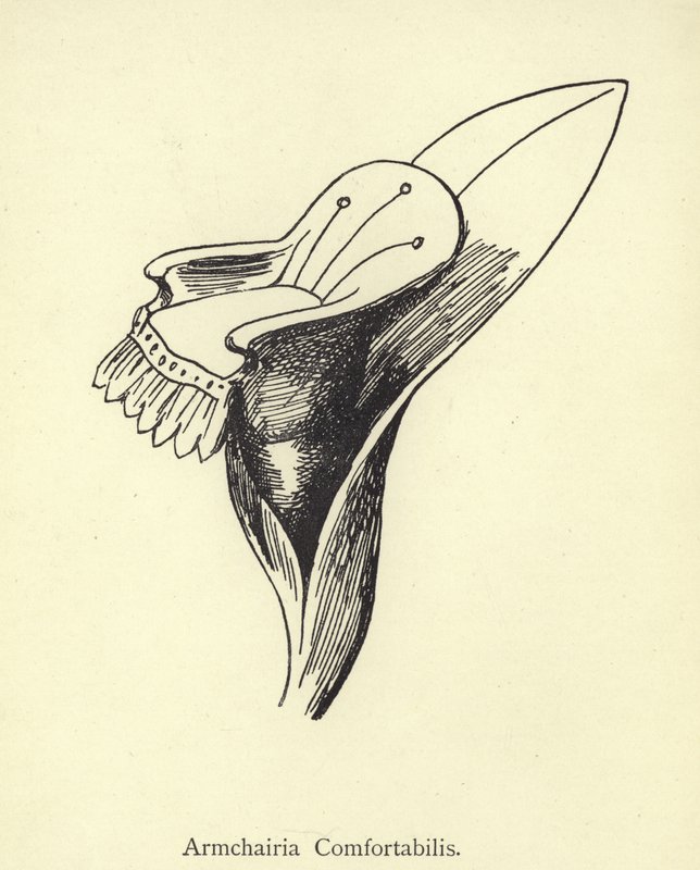 Lænestol Comfortabilis af Edward Lear