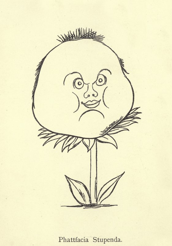 Fantastisk Phattfacia af Edward Lear