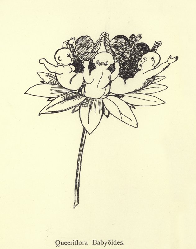 Queeriflora Babyoides af Edward Lear