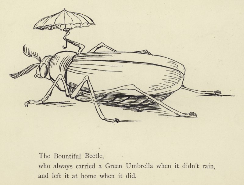 Den Bountiful Beetle af Edward Lear