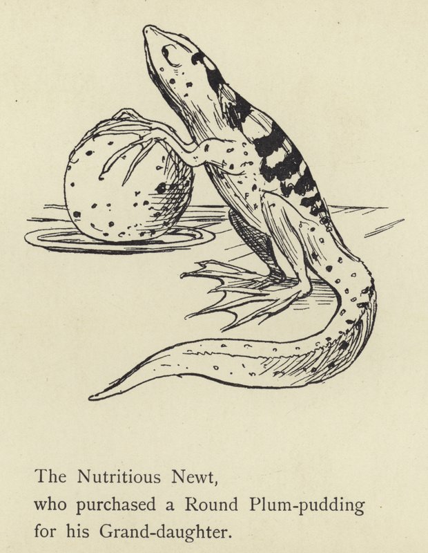 Den næringsrige vandsalamander af Edward Lear