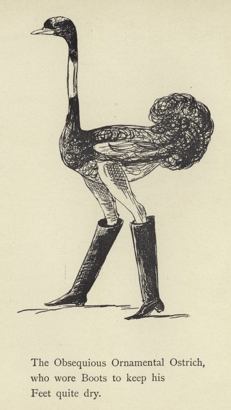Den obsequious Ornamental Struds af Edward Lear