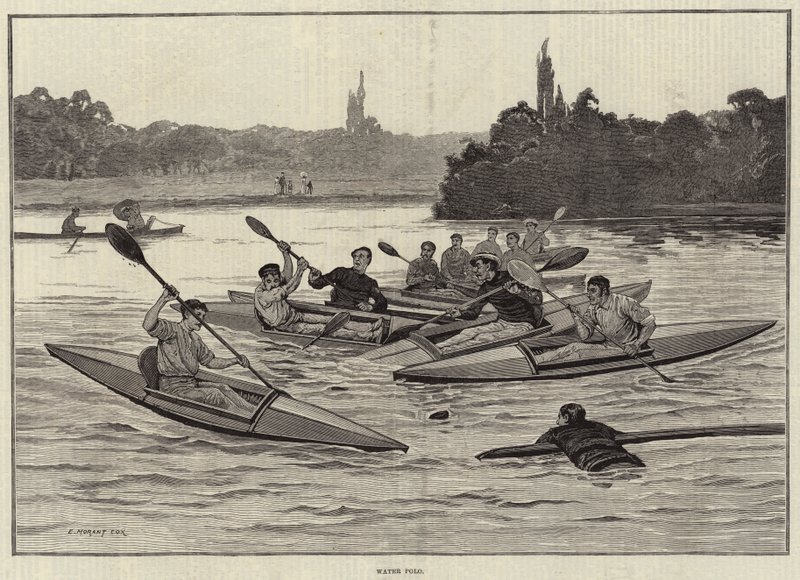 Vandpolo af Edward Morant Cox