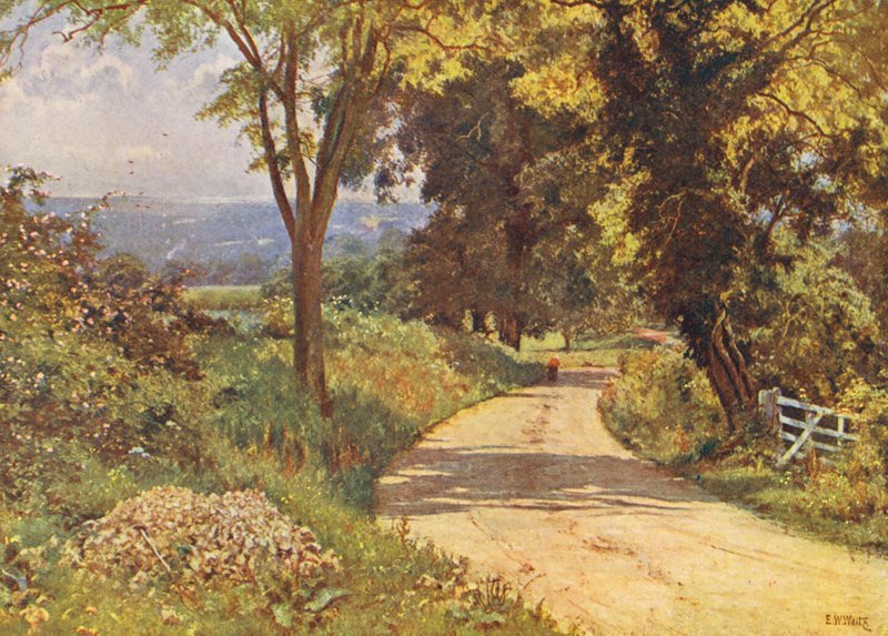 Min vej (farvelitografi) af Edward Wilkins Waite
