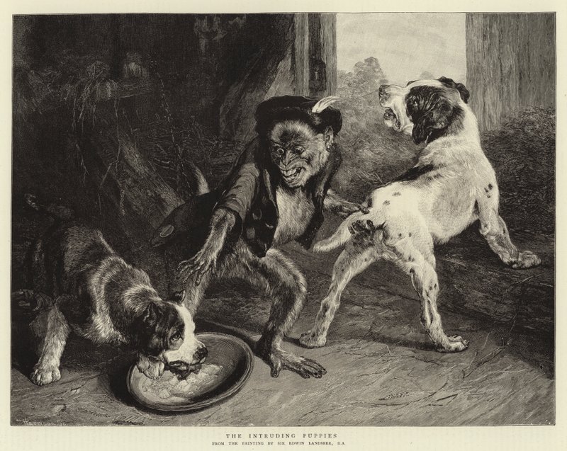De indtrængende hvalpe af Edwin Landseer