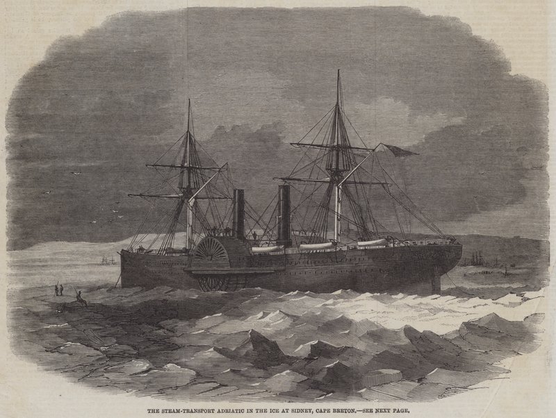 Damptransport Adriaterhavet i isen ved Sidney, Cape Breton af Edwin Weedon