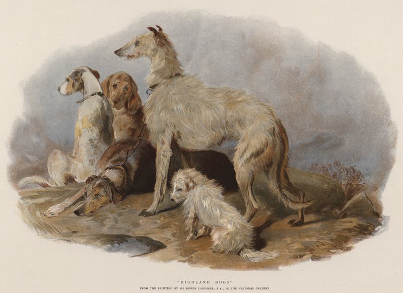 Highland Dogs (chromolitho) af Edwin Landseer