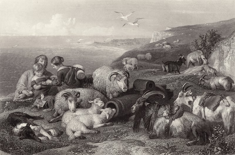 Fred af Edwin Landseer