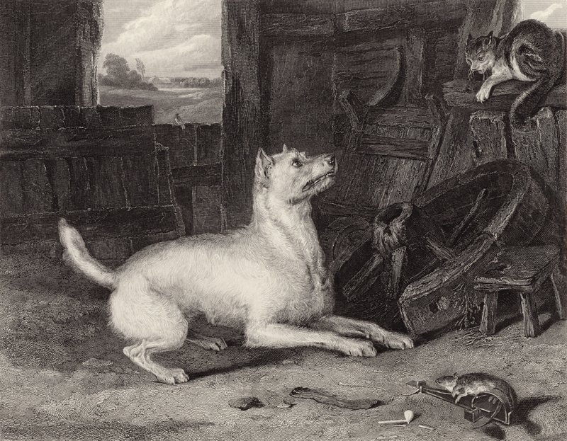 Den indtrængende af Edwin Landseer
