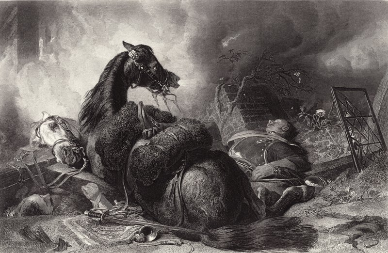 Krig af Edwin Landseer