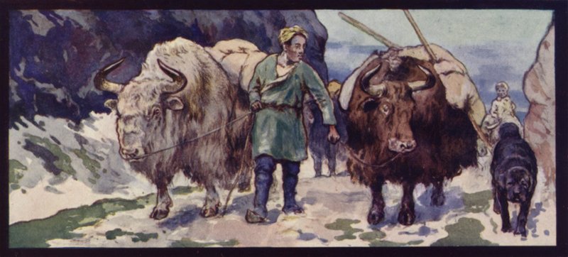 Et tibetansk Yak-tog (farvedele) af Edwin Noble