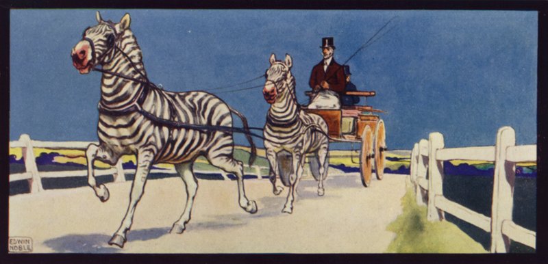 Kørende zebraer, tandem (farve litho) af Edwin Noble