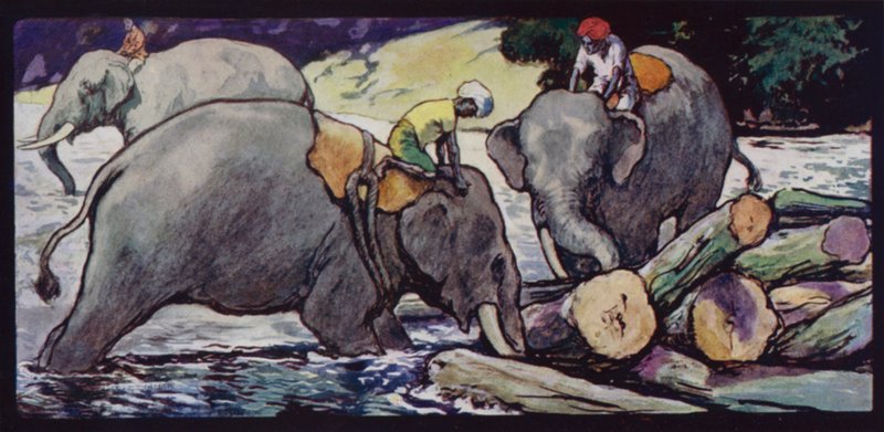 Elefanter håndterer træstammer i floden (farve litho) af Edwin Noble