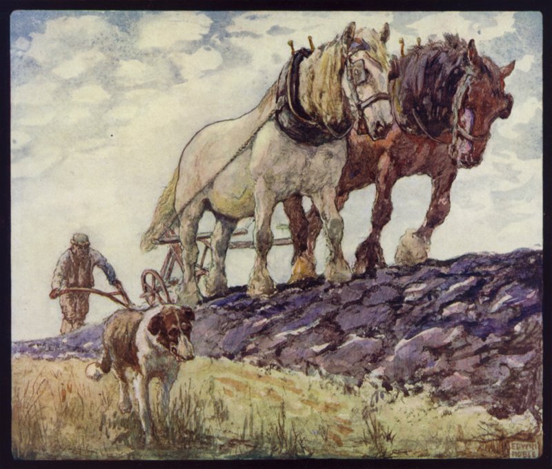 Engelske vogn-heste pløjning (farve litho) af Edwin Noble