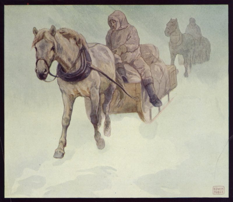 Sibiriske ponyer i Antarktis (farve litho) af Edwin Noble