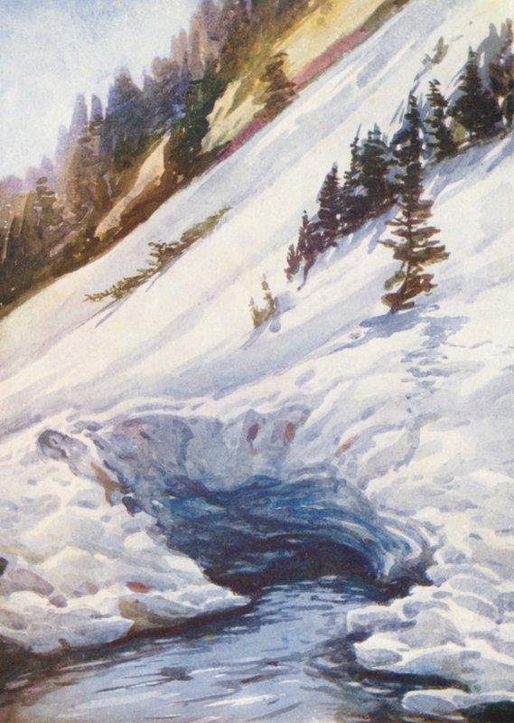 Schweiz af Effie Jardine