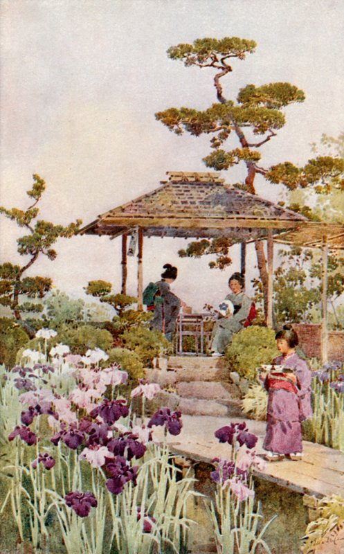 An Iris Garden (farve litho) af Ella Du Cane