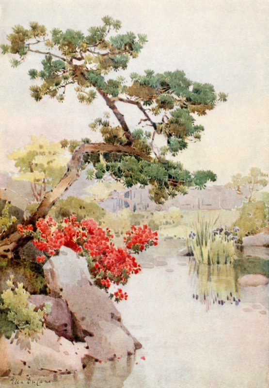 Azalea og fyrretræ (farve litho) af Ella Du Cane