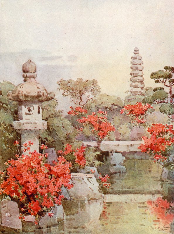 Azaleaer, Kyoto (farve litho) af Ella Du Cane