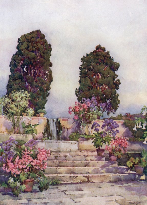 Botanisk have, Orotava (farvemedlemmer) af Ella Du Cane