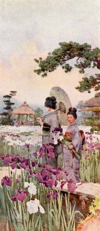 Iris, Horikiri (farve litho) af Ella Du Cane