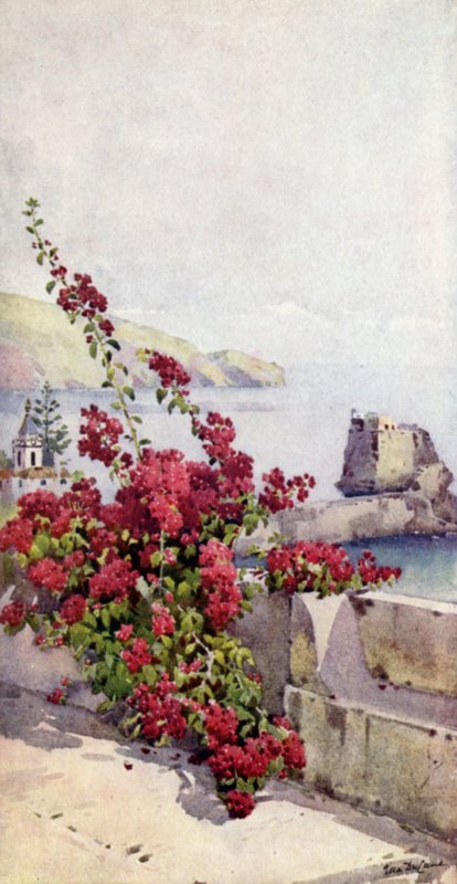 Loo Rock, Funchal (farve litho) af Ella Du Cane